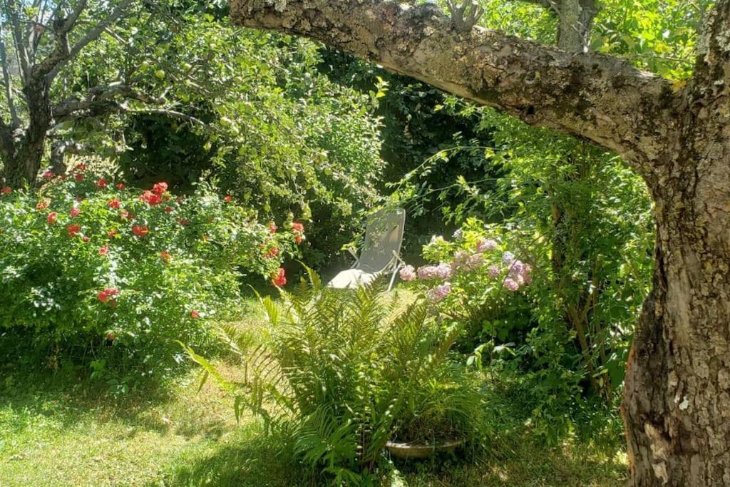 Charmant T2 Dans Chalet Familial Valdeblore Esterno foto